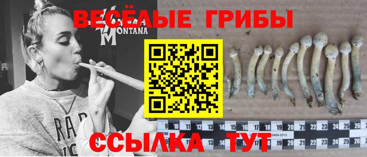 Меф Соликамск